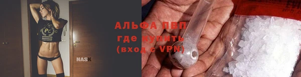 гашик Михайловск
