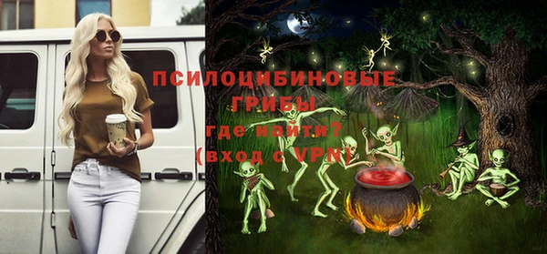 гашик Михайловск