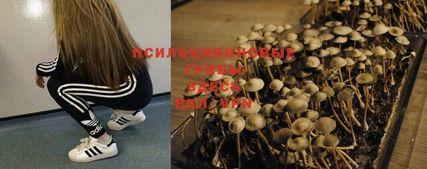 ПСИЛОЦИБИНОВЫЕ ГРИБЫ Наволоки