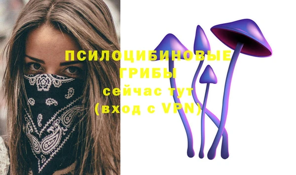 а пвп мука Михайлов