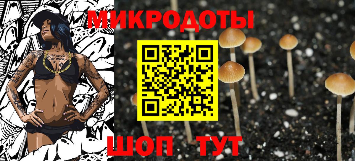 Псилоцибиновые грибы Cubensis Новоалтайск