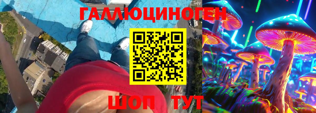 Псилоцибиновые грибы Psilocybe  Вход с VPN  Новоалтайск 