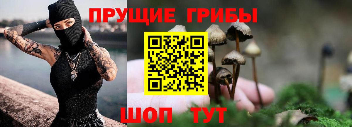 Лсд 25 Новоалтайск